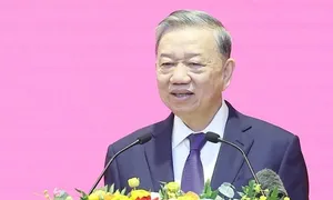 'Văn phòng Trung ương Đảng cần nghiên cứu cơ chế đặc biệt trọng dụng nhân tài' 'Văn phòng Trung ương Đảng cần nghiên cứu cơ chế đặc biệt trọng dụng nhân tài'